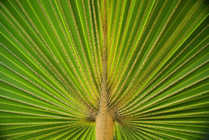 PHOTO DE LA SEMAINE 2021-46 Esplanade Photo