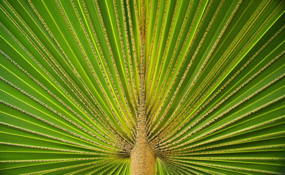 PHOTO DE LA SEMAINE 2021-46 Esplanade Photo