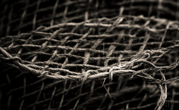 Esplanade Photo_la jute_01