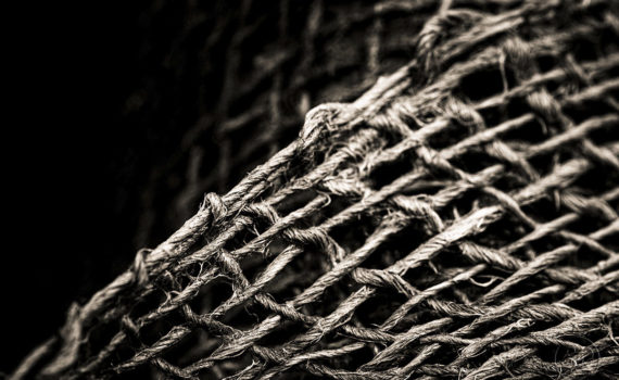 Esplanade Photo_la jute_02