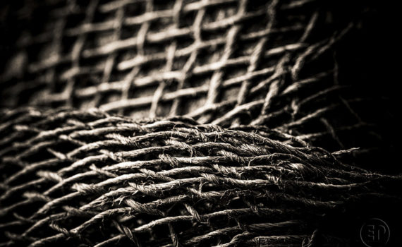 Esplanade Photo_la jute_03