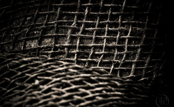 Esplanade Photo_la jute_07