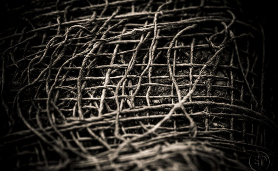 Esplanade Photo_la jute_08