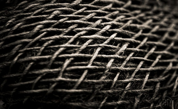 Esplanade Photo_la jute_09