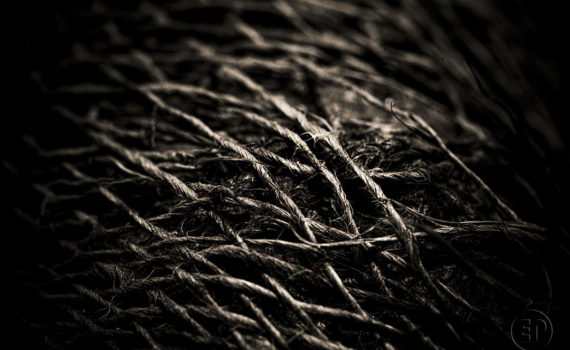 Esplanade Photo_la jute_10