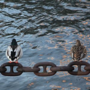 PHOTO DE LA SEMAINE 2022-01 Esplanade Photo