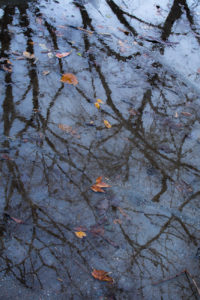 PHOTO DE LA SEMAINE 2022-07 Esplanade Photo