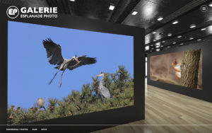 Galerie Esplanade Photo