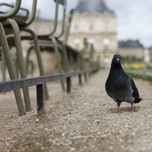 PHOTO DE LA SEMAINE 2022-14 Esplanade Photo