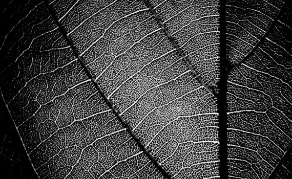 Feuille 01