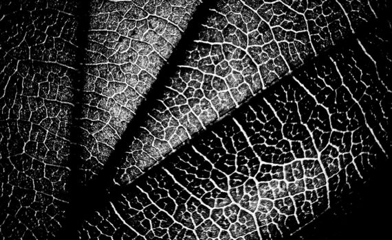 Feuille 03