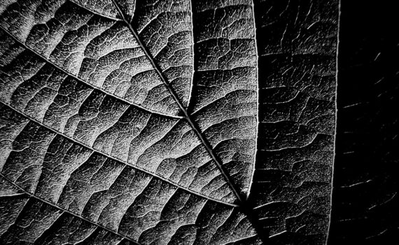 Feuille 04