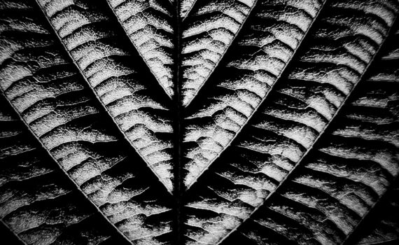 Feuille 05