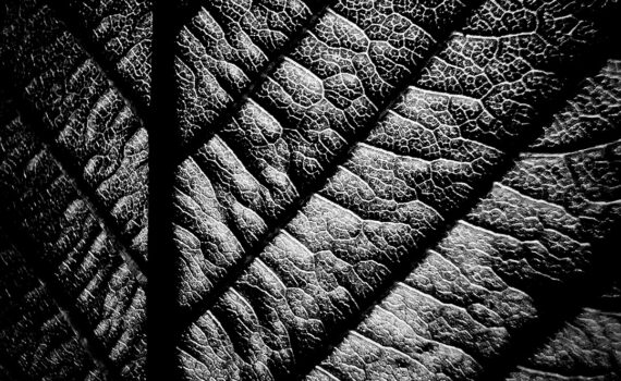 Feuille 06