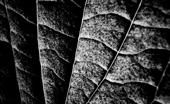 Feuille 10