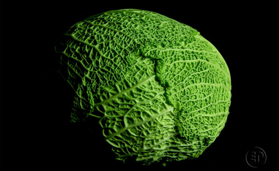 Textures et matières 01