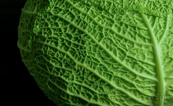 Textures et matières 02