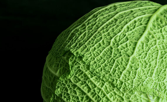 Textures et matières 03