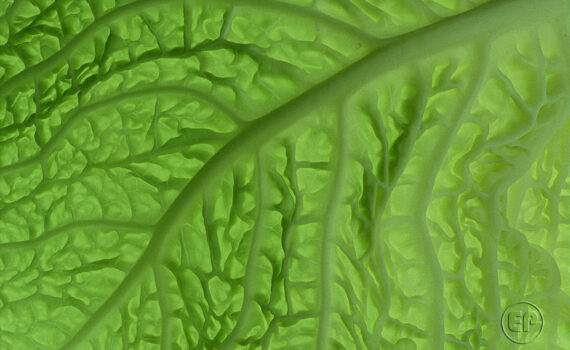 Textures et matières 04