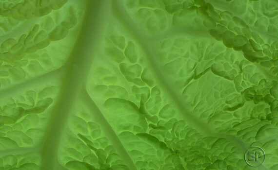 Textures et matières 05