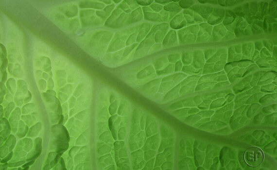 Textures et matières 06