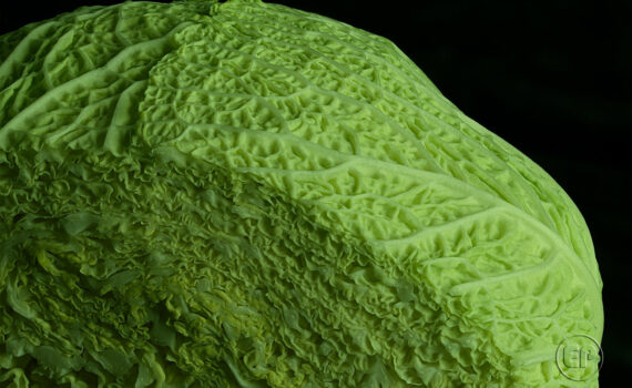 Textures et matières 07