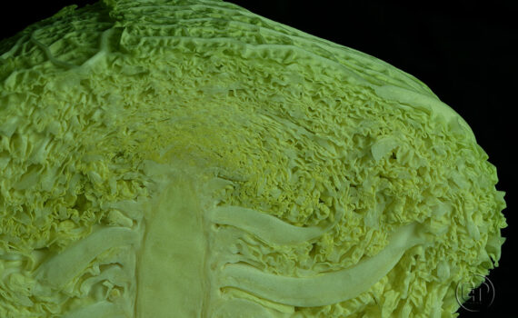 Textures et matières 08