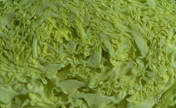 Textures et matières 09