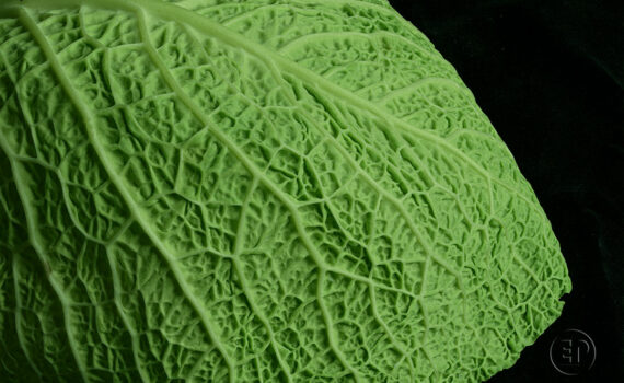 Textures et matières 10