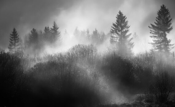 ©Jean-Manuel Astigarraga