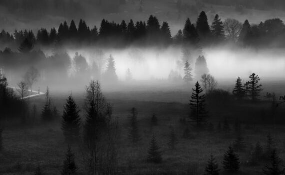 ©Jean-Manuel Astigarraga