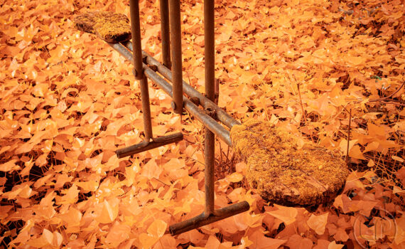 01_La-beaute-de-la-desolation-en-infrarouge