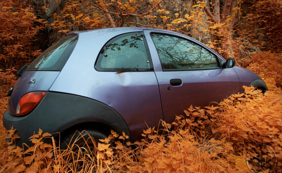 03_La-beaute-de-la-desolation-en-infrarouge