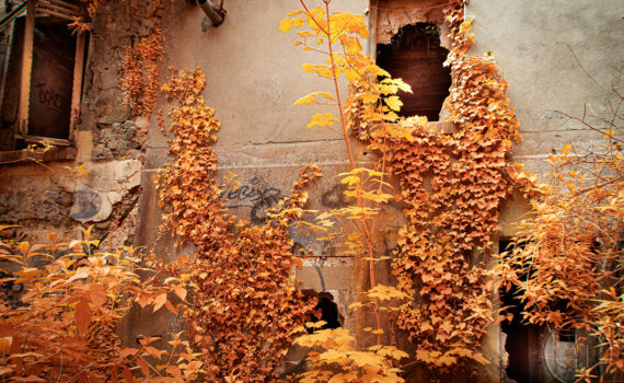 06_La-beaute-de-la-desolation-en-infrarouge