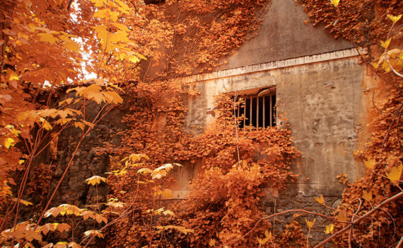 08_La-beaute-de-la-desolation-en-infrarouge