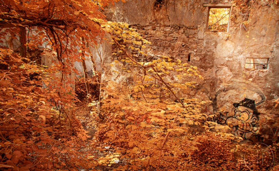 09_La-beaute-de-la-desolation-en-infrarouge