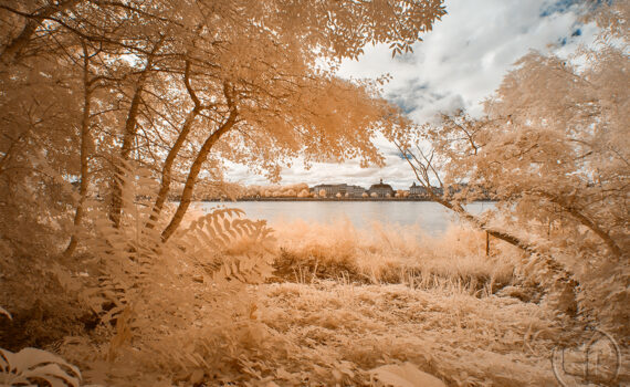 VUE SUR LA GARONNE À BORDEAUX En infrarouge et en couleur 06