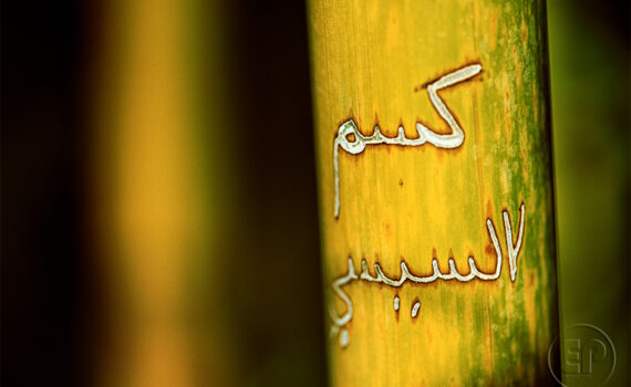 Graffiti-histoires-sur-bambou_01