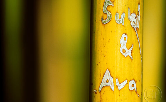 Graffiti-histoires-sur-bambou_02