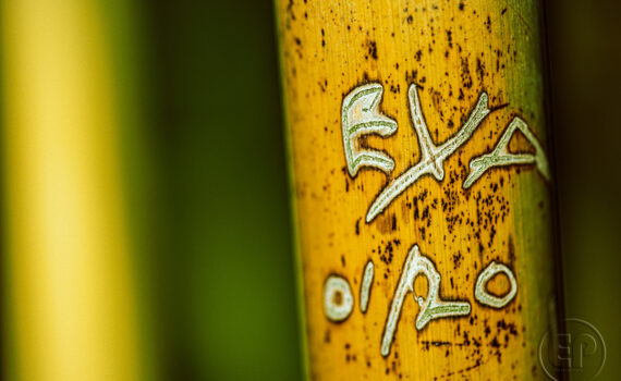 Graffiti-histoires-sur-bambou_03