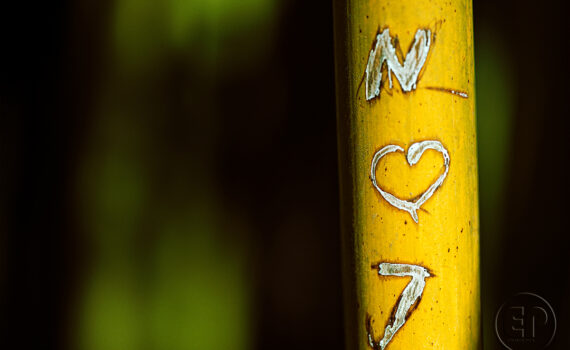 Graffiti-histoires-sur-bambou_04