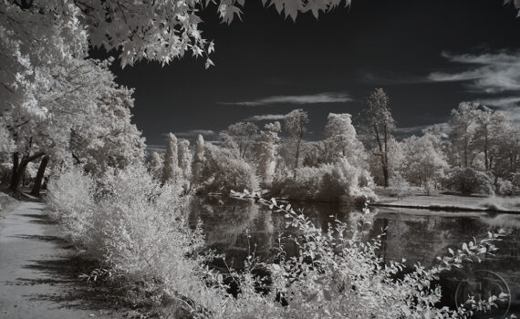 LE BOIS DE BOULOGNE En infrarouge 03