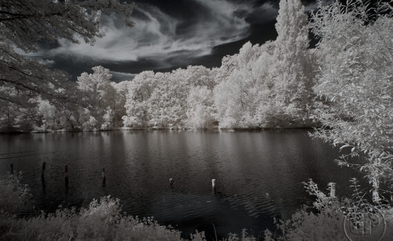 LE BOIS DE BOULOGNE En infrarouge 05