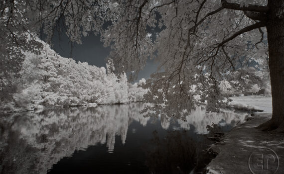 LE BOIS DE BOULOGNE En infrarouge 06
