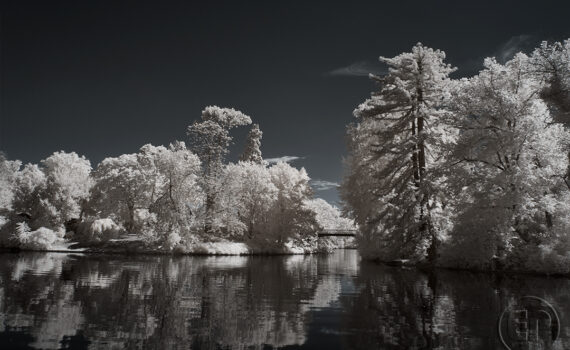 LE BOIS DE BOULOGNE En infrarouge 08