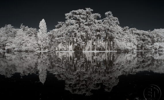 LE BOIS DE BOULOGNE En infrarouge 10