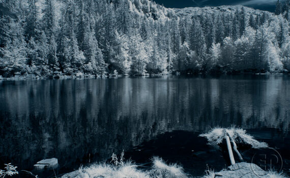 Le-Lac-Vert_02