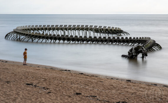 LE SERPENT D'OCÉAN De Huang Yong Ping 01