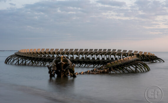 LE SERPENT D'OCÉAN De Huang Yong Ping 02