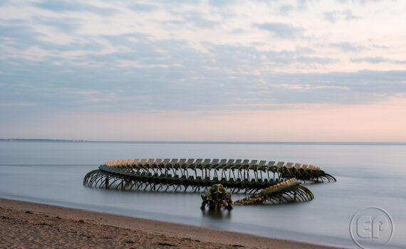 LE SERPENT D'OCÉAN De Huang Yong Ping 03